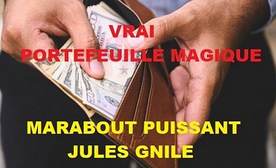 Comment devenir riche ? Vrai Portefeuille Magique